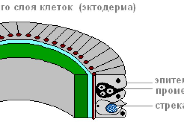 Kraken сайт покупок