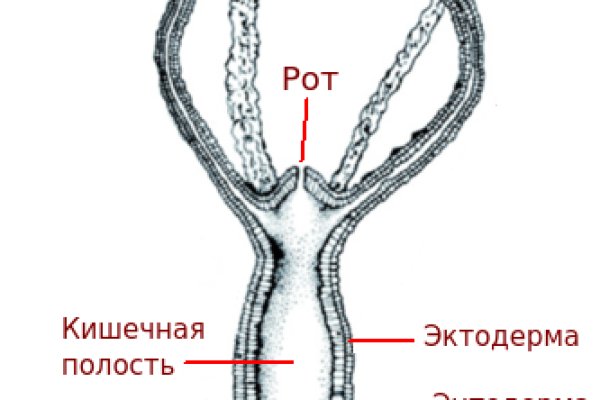 Найдется все kraken 2krn cc что это